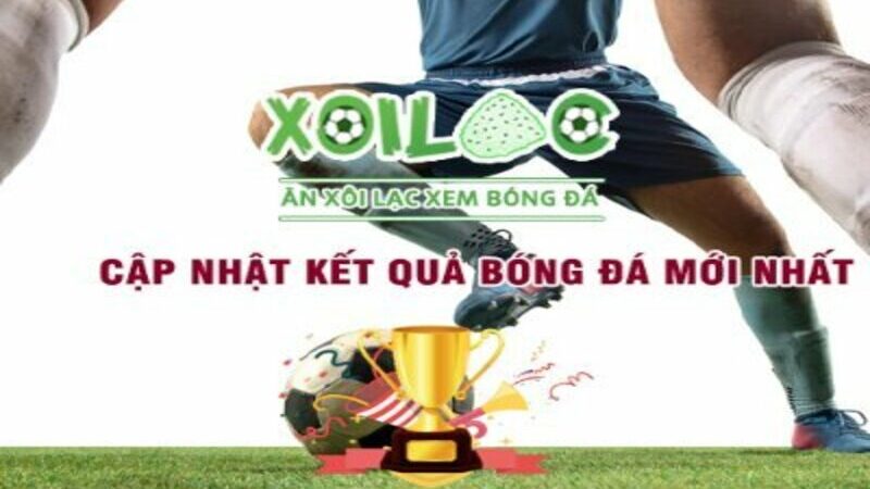 Tôi và anh em xem bóng đá trực tiếp đã mắt, theo dõi kqbd 24h không lệch nhịp nhờ có XoilacvnTV