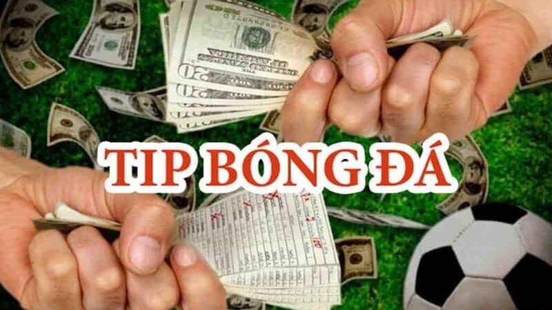 Bongdaso – “Trợ lý bắt kèo” quốc dân dành cho anh em Bet thủ muốn thắng bền vững